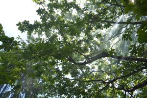 30_let_tromeje_250519 (58)